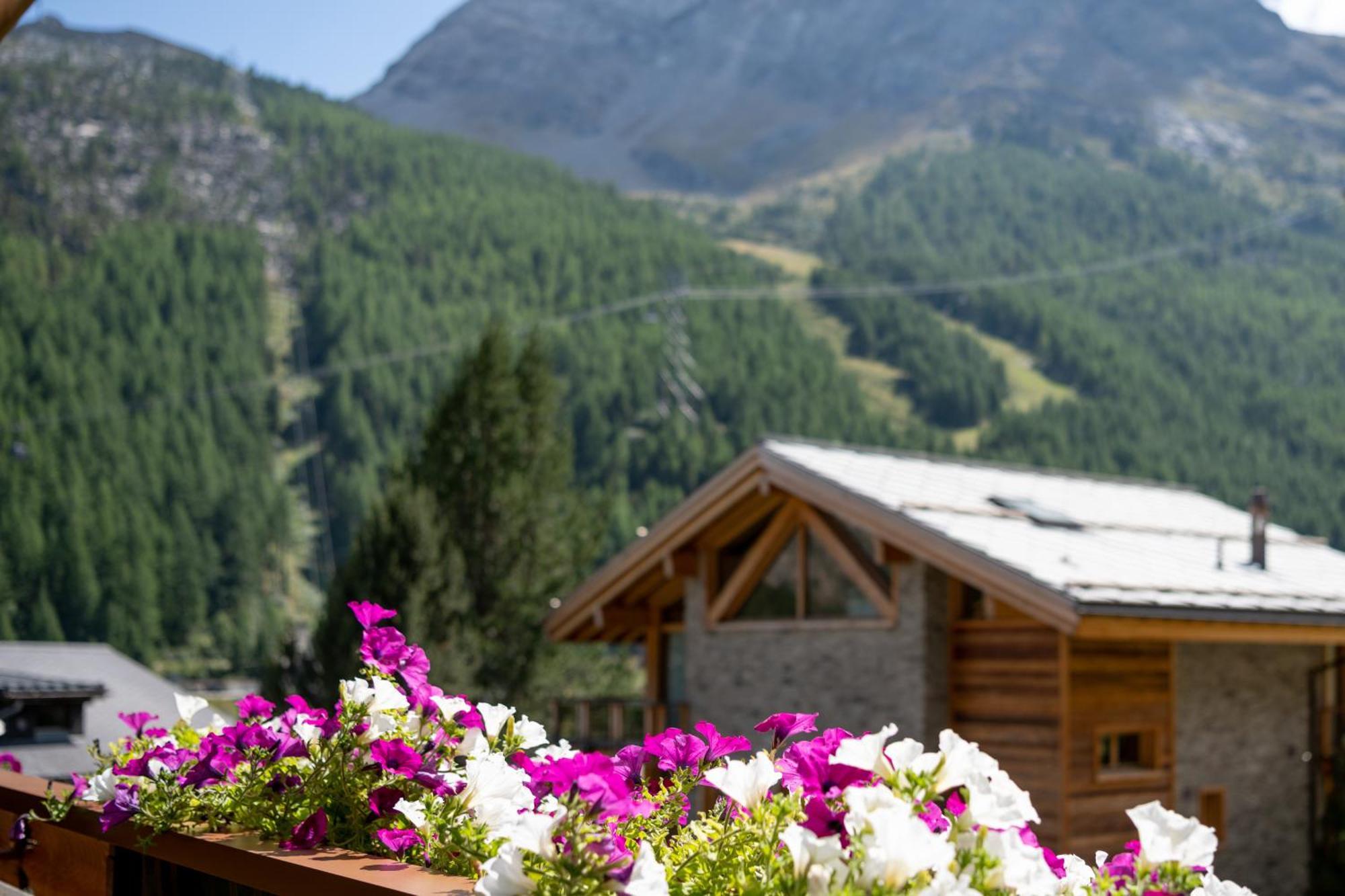 Haus Avalanche Apartment Saas-Fee Room photo